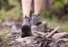 Best New Balance Hiking Shoes 1