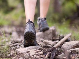 New Balance Hiking Shoes: The Ultimate Trail-Ready Footwear for Men Best New Balance Hiking Shoes 1