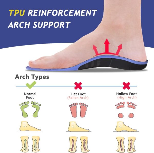 Comparing 5 Premium Shoe Insoles for Arch Pain & Plantar Fasciitis ...