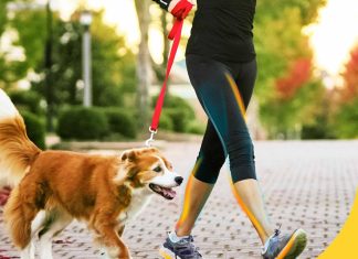 dr scholls walk longer insoles comfortable plush foam cushioning inserts for walking hiking and standing on feet all day