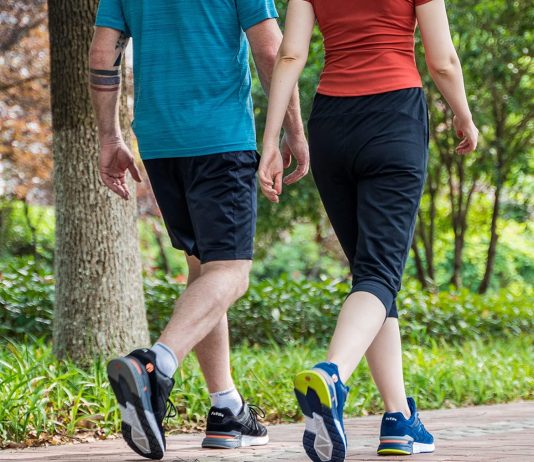 shoe showdown fitville vs gravity defyer the ultimate comparison